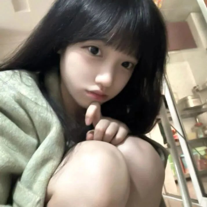 长毛狗
