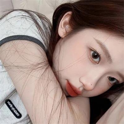 科搜研之女2022